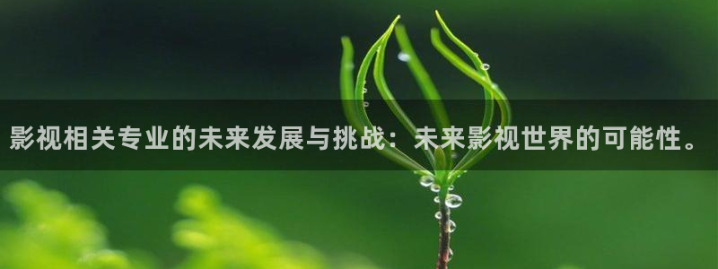 熊猫电影yy8y3：影视相关专业的未来发展与挑战：未来影视世界的可能性。