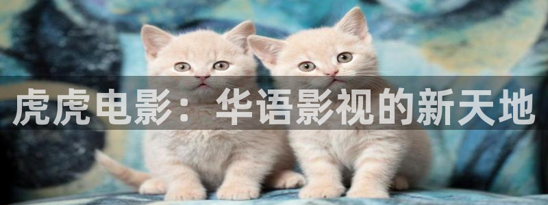 环球影城熊猫馆：虎虎电影：华语影视的新天地
