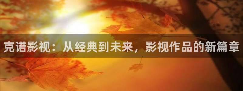 熊猫电影yy8y4高清版怎么看：克诺影视：从经典到未来，影视作品的新篇章