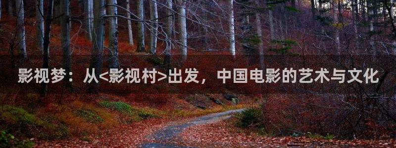 熊猫酒店：影视梦：从<影视村>出发，中国电影的艺术与文化