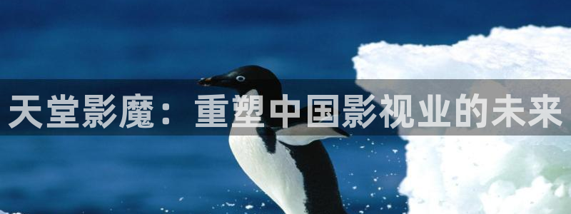 熊猫影院：天堂影魔：重塑中国影视业的未来
