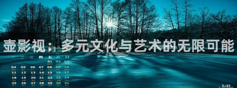 熊猫小视频：壶影视：多元文化与艺术的无限可能