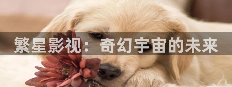 熊猫电影大全：繁星影视：奇幻宇宙的未来