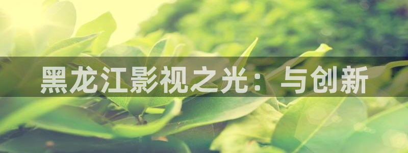 熊猫电影：黑龙江影视之光：与创新