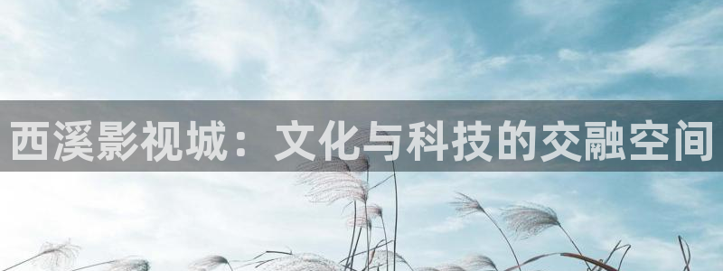 熊猫侠电影免费观看：西溪影视城：文化与科技的交融空间