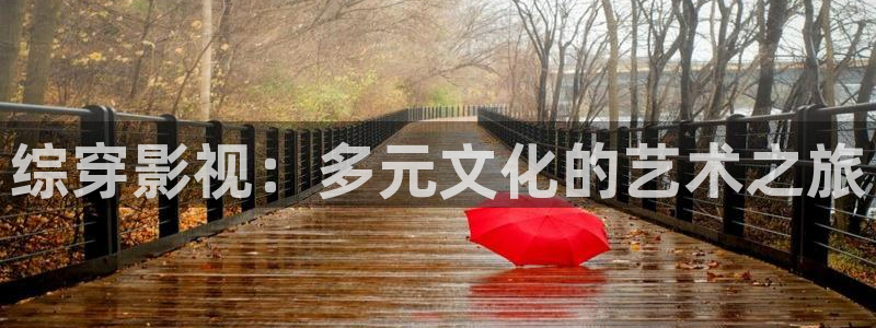 熊猫影视网在线观看：综穿影视：多元文化的艺术之旅