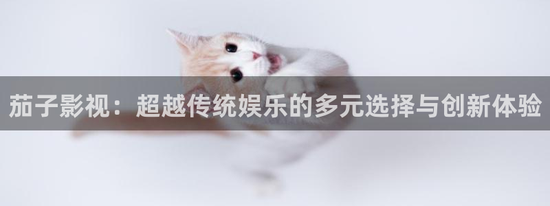 熊猫影视在线播放：茄子影视：超越传统娱乐的多元选择与创新体验