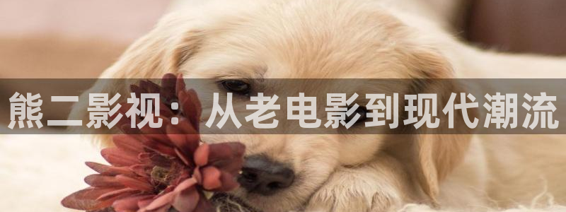 熊猫影院tv：熊二影视：从老电影到现代潮流