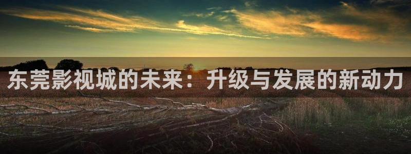 熊猫电影yy8y5：东莞影视城的未来：升级与发展的新动力