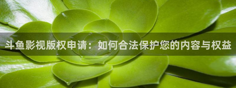 熊猫电影网：斗鱼影视版权申请：如何合法保护您的内容与权益