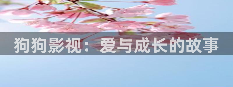 熊猫电影大全：狗狗影视：爱与成长的故事