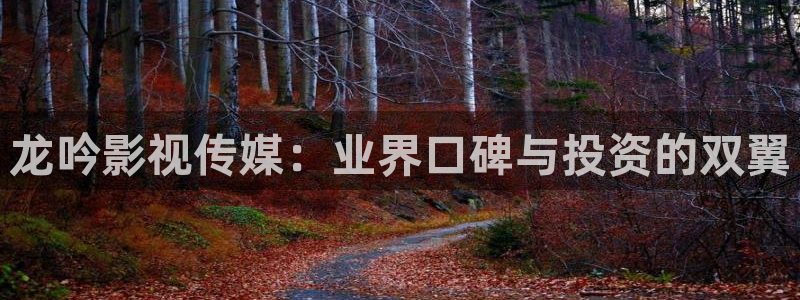 熊猫电影大全免费观看：龙吟影视传媒：业界口碑与投资的双翼